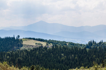 夏天风景