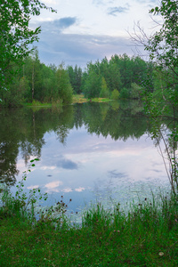 森林湖