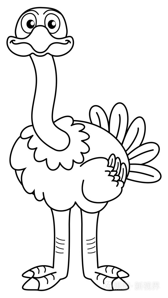 展望未来的鸵鸟