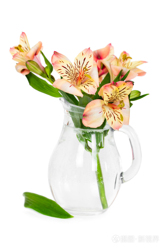 玻璃花瓶中的花六出