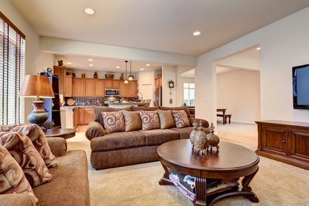 天鹅绒地毯典型的客厅里,在美国人家里有地毯和天鹅绒 sof照片