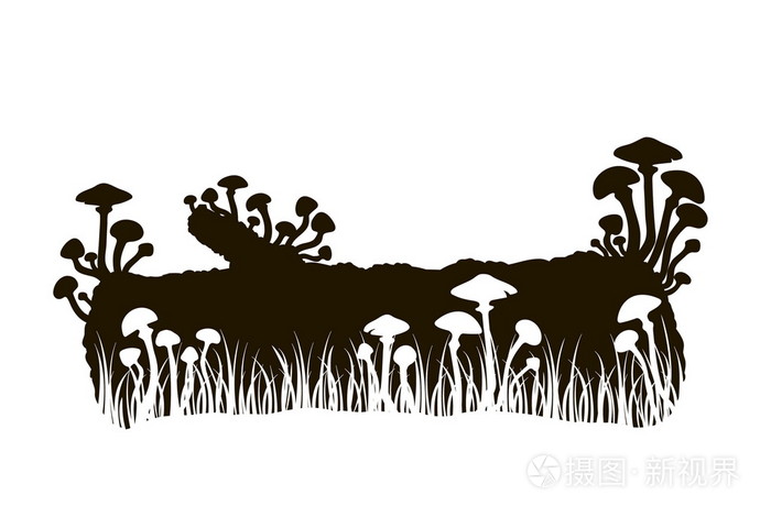 黑色和白色蘑菇在圆木上草的剪影