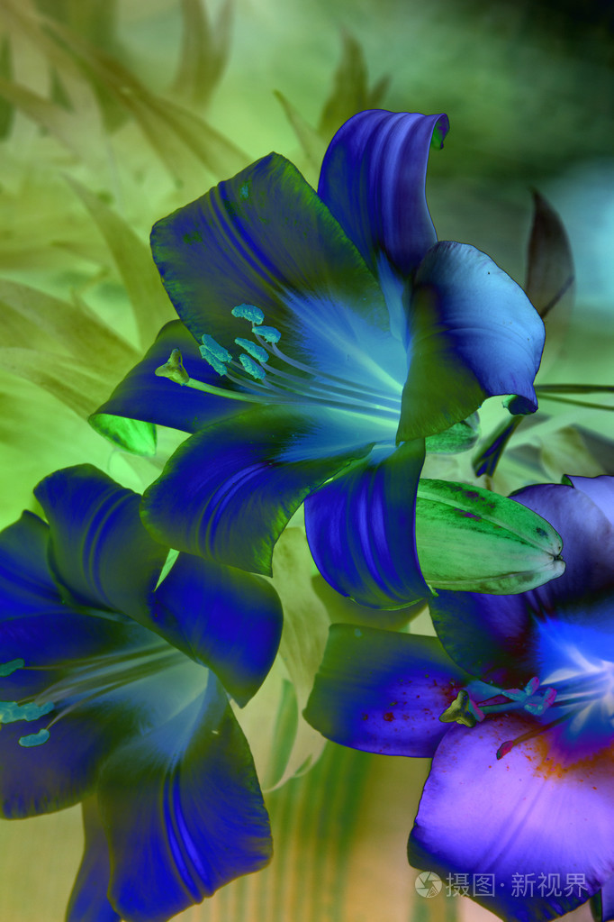 用深蓝色和绿色的树叶抽象艺术背景