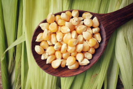 新鲜的玉米和种子