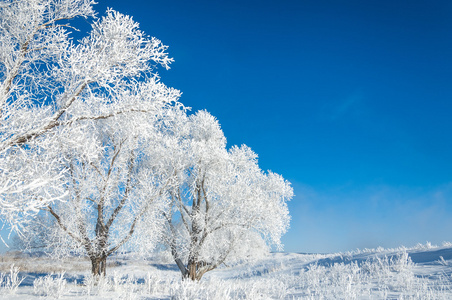 冬天的太阳霜。 冷。 当温度低于冻结时，在地面或其他表面形成的白色小冰晶的沉积。