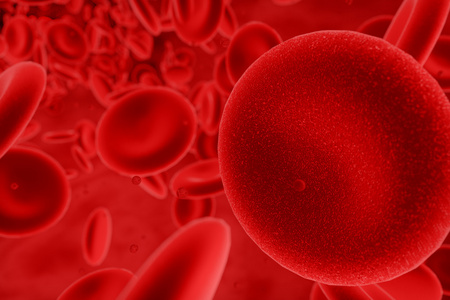 血液细胞图
