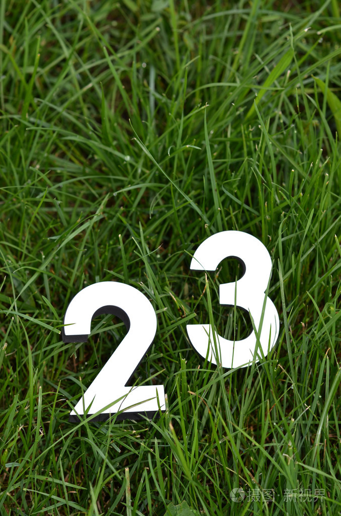 草地上的数字