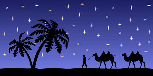 男子牵着骆驼在夜空中