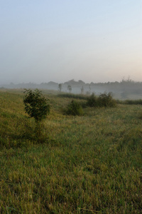 日落时雾蒙蒙的田野。