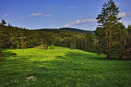罗多普斯山的绿林景观