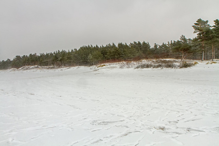 波罗的海沿岸的雪