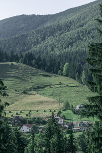 在喀尔巴阡夏日风景