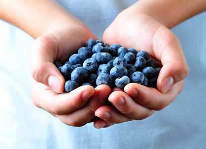 孩子们手中成熟的蓝莓