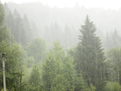 倾盆大雨在山的倾盆大雨照片