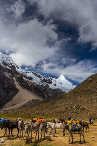 在安第斯山脉的山风景