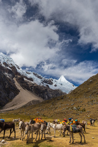 在安第斯山脉的山风景