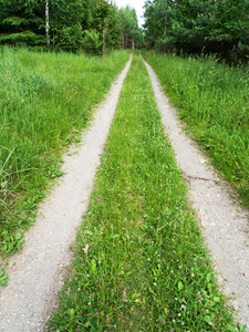 道路