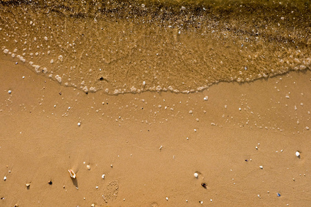 海贝壳砂背景