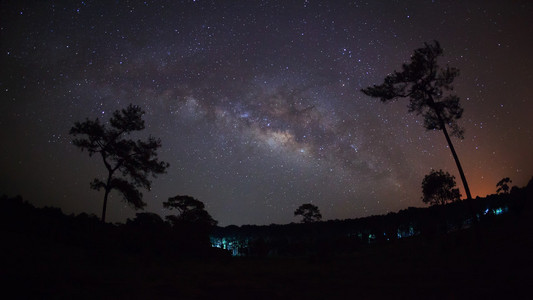 树和美丽的银河在夜空上的剪影