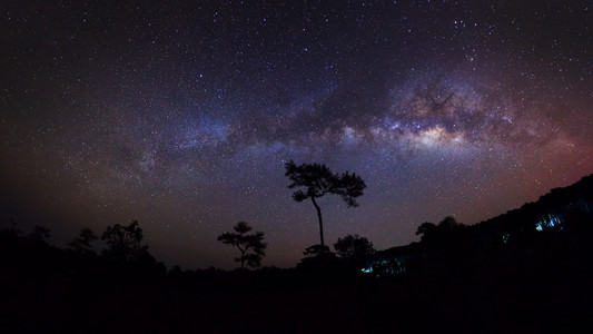 在夜空中的树和美丽的银河的全景剪影