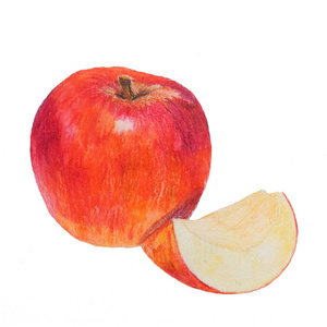 水彩的彩色的铅笔苹果