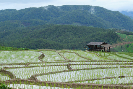 的小屋