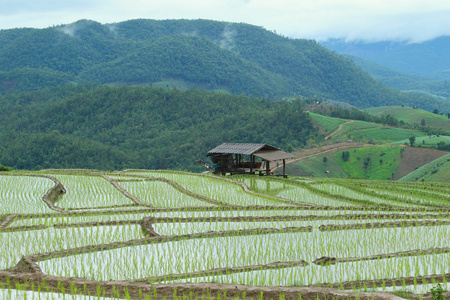 农民的小屋