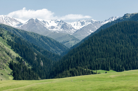 天山山山。 亚述高原。 图尔根峡谷。 扎伊列斯科阿拉陶高原