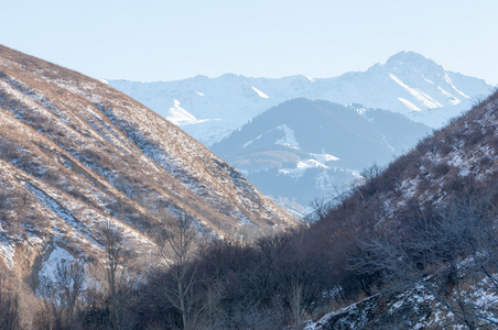 田北俊议员山