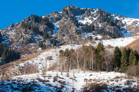 田北俊议员山