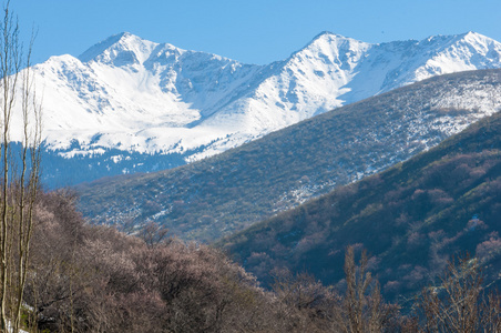 哈萨克斯坦。 天山。 有山景的美丽景观。