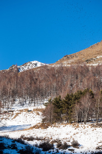 哈萨克斯坦。 天山。 有山景的美丽景观。