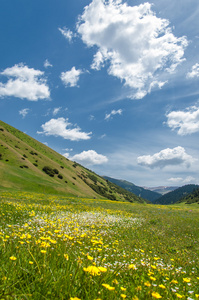 山山山。 哈萨克斯坦。 天山。 亚述高原