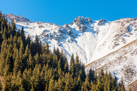 哈萨克斯坦。 天山。 有山景的美丽景观。