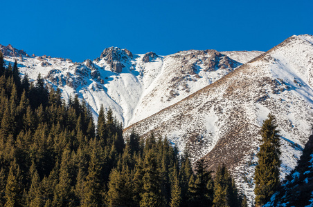 哈萨克斯坦。 天山。 有山景的美丽景观。