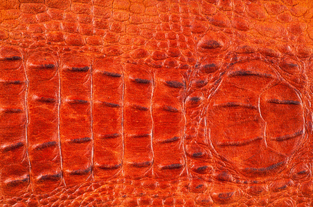 鳄鱼皮。 艺术皮革鳄鱼