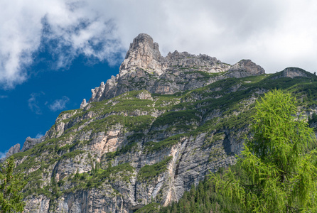 令人惊叹的阿尔卑斯山夏季全景