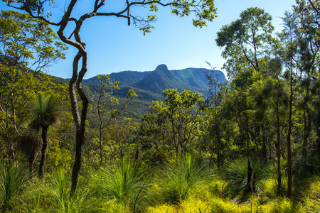 Spicers Gap Lookout in the Scenic Rim, Queensland