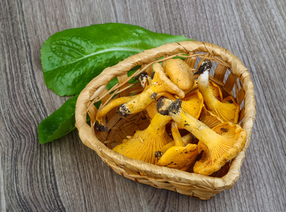 鸡油菌蘑菇隔离图片