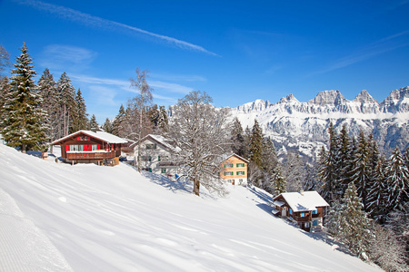 冬季在瑞士阿尔卑斯山，瑞士