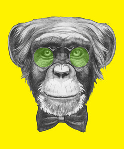 猴子用眼镜和领结