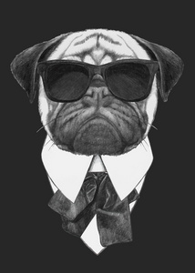 带着太阳眼镜的 pug