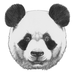 原始绘图的熊猫