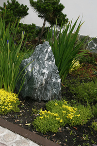 花园里的石头
