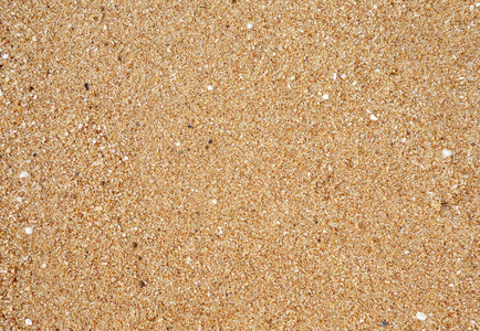 细砂纹的海滩照片