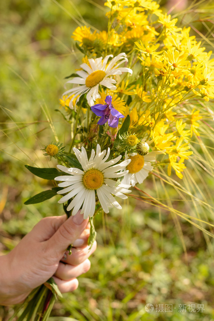野花在她手中的花束
