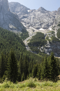 景观石山