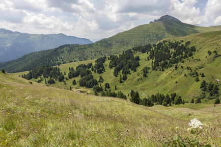 山风景