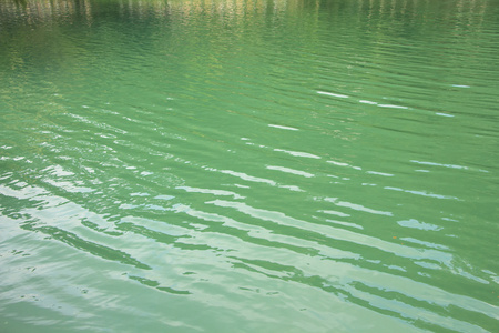 湖中绿水的图像