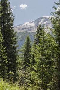 山风景